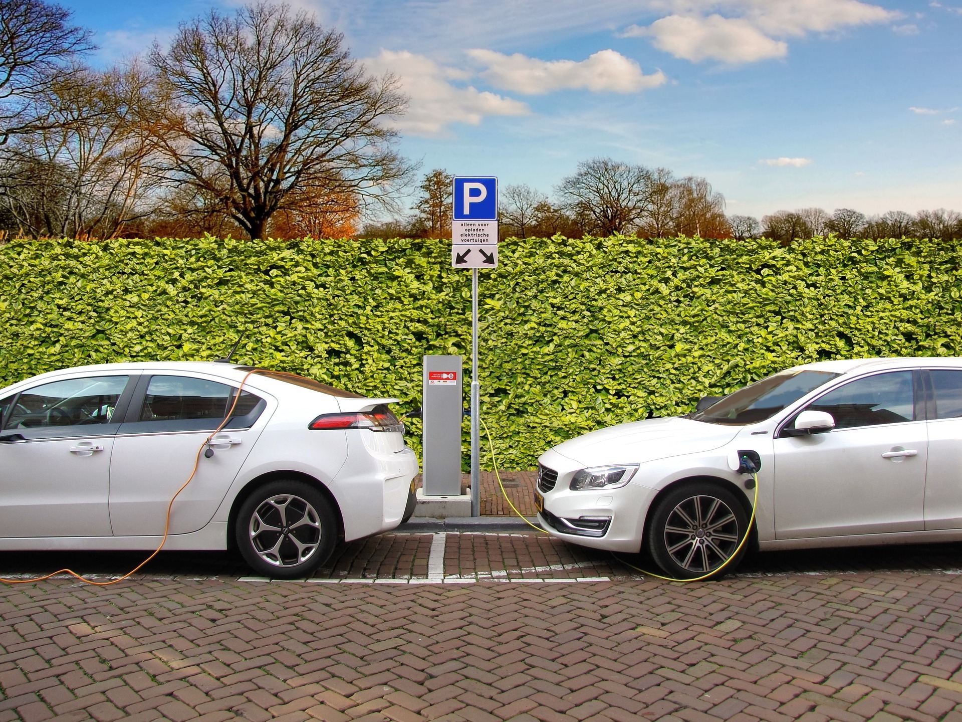 How To Make Half Europe S Cars Electric By 2030 Transport Electric Cars Making Up More Than A Half Of All New Vehicles Sold By 2030 And That To Achieve This Joint Efforts Must Now Begin Between The Eu