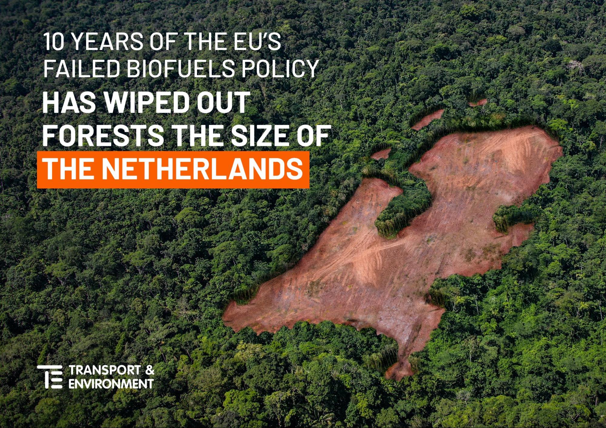 10 years of the EUs failed biofuels policy has wiped out forestes the size of the Netherlands